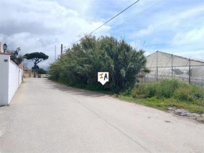 Vente Terrain Conil-de-la-frontera  CA