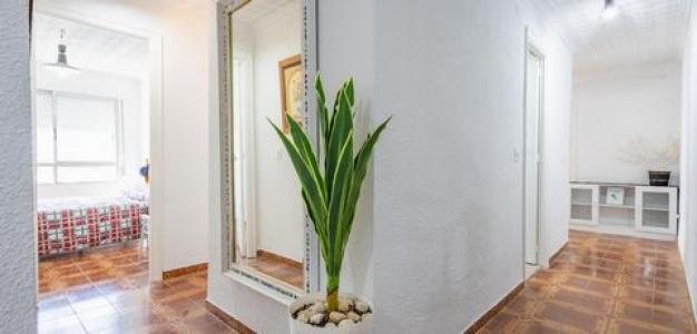 Acheter Appartement Torrevieja rgion ALICANTE