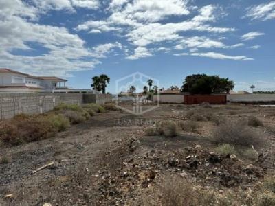 Annonce Vente Terrain San-miguel-de-abona