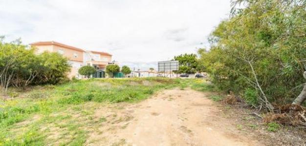 Acheter Terrain Torrevieja rgion ALICANTE