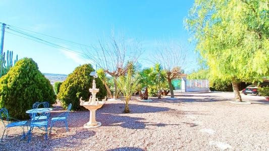 Annonce Vente Maison Aspe