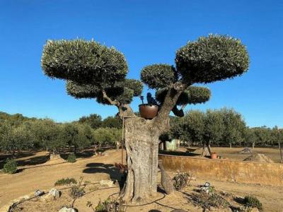 Vente Maison Molines  GI en Espagne