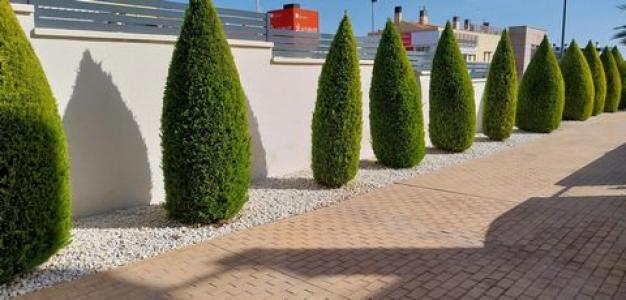Acheter Appartement Orihuela-costa