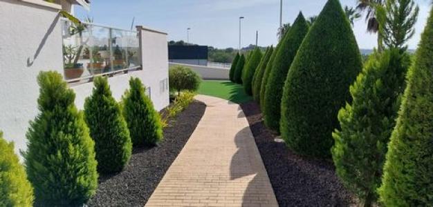 Acheter Appartement Orihuela-costa rgion ALICANTE