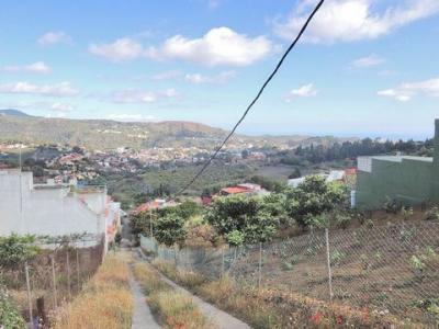 Annonce Vente Terrain Santa-brigida