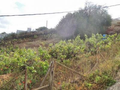 Acheter Terrain 308 m2 Santa-brigida
