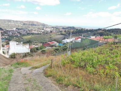 Acheter Terrain Santa-brigida rgion LAS-PALMAS