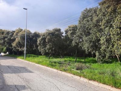 Annonce Vente Terrain El-casar