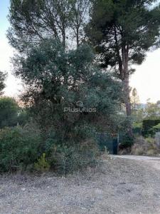 Acheter Terrain Benissa rgion ALICANTE