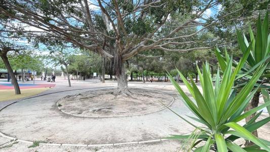 Acheter Appartement 67 m2 Torrevieja