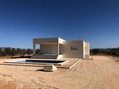 Annonce Vente Maison Pinoso