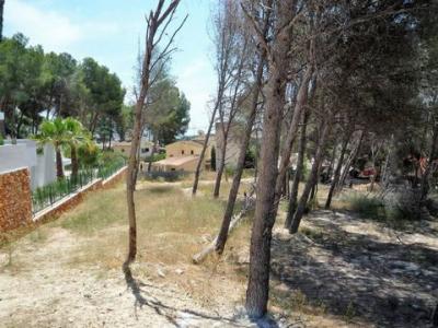 Annonce Vente Terrain Moraira