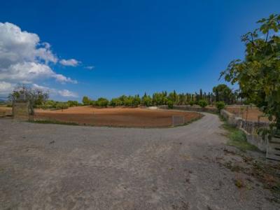 Acheter Terrain Felanitx rgion ISLAS-BALEARES