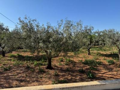 Vente Maison Benissa  A en Espagne
