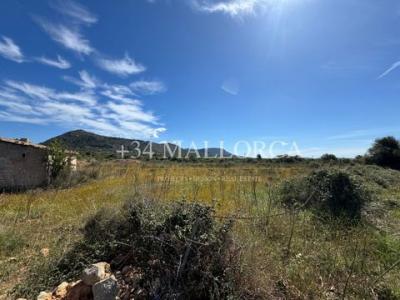 Vente Terrain Llucmajor LLUCMAJOR PM en Espagne
