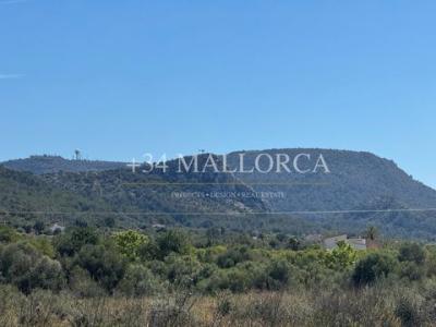 Annonce Vente Terrain Llucmajor