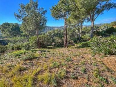 Acheter Terrain Palafrugell rgion GIRONA