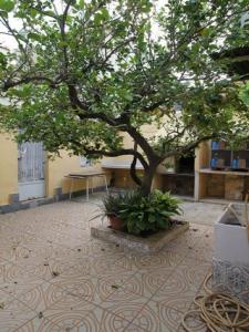 Annonce Vente Maison Murcia