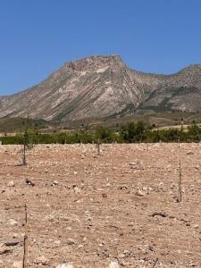 Acheter Terrain El-churtal rgion MURCIA