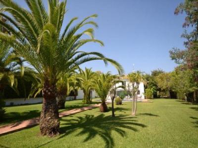 Acheter Maison 700 m2 San-pedro-alcantara