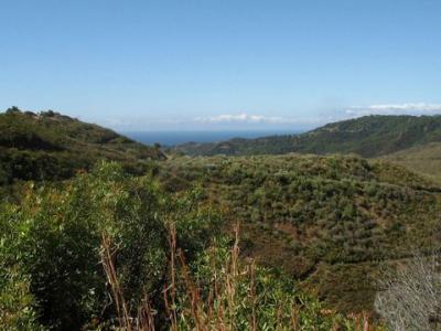Acheter Terrain 32767 m2 Benahavis