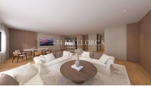 Acheter Appartement 199 m2 Palma-de-mallorca