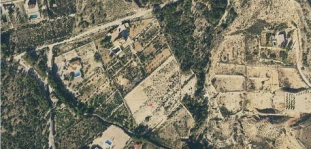 Annonce Vente Terrain Crevillente