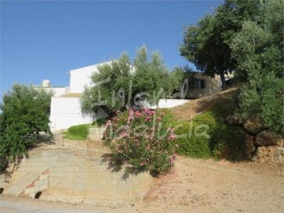 Acheter Maison 201 m2 Castillo-de-locubin