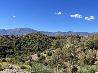 Acheter Terrain 2333 m2 Estepona