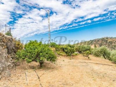 Acheter Maison Torrox rgion MALAGA