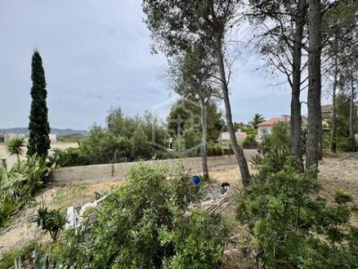 Acheter Terrain 970 m2 Sitges