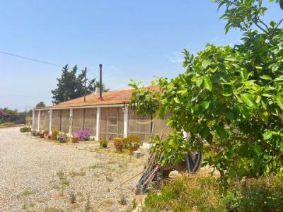 Annonce Vente 9 pices Maison Campillo-de-abajo