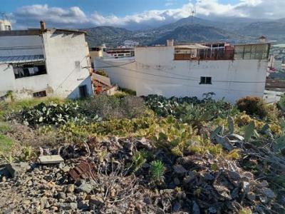 Annonce Vente Terrain Arucas