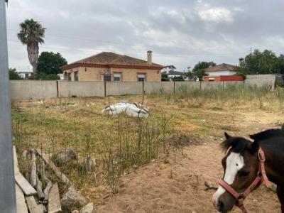 Vente Terrain Berben  CA en Espagne
