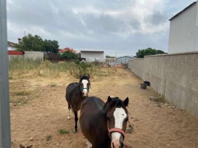 Acheter Terrain 1000 m2 Berben