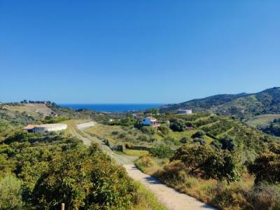 Annonce Vente Terrain Frigiliana