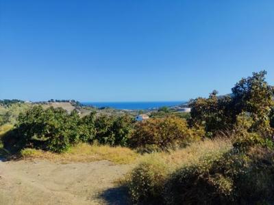 Acheter Terrain 20000 m2 Frigiliana