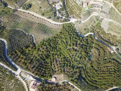 Acheter Terrain Frigiliana rgion MALAGA
