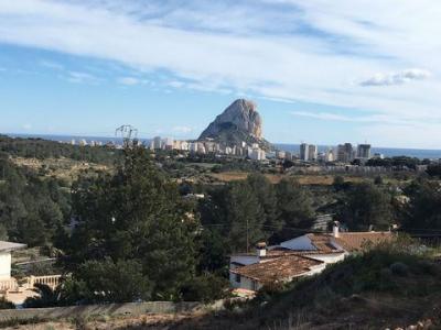 Annonce Vente Terrain Benicolada