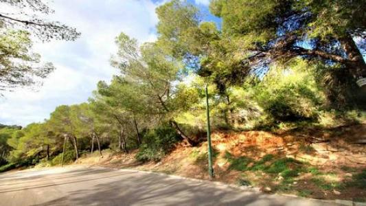 Acheter Terrain 1188 m2 Cala-vinyes