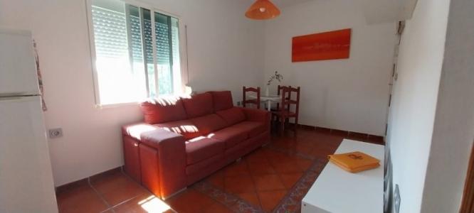 Annonce Location Appartement Malaga