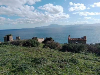 Acheter Terrain 32767 m2 Tarifa