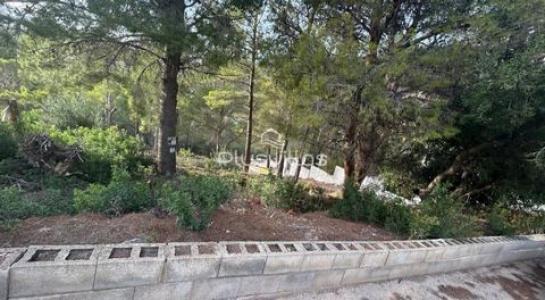 Acheter Terrain 940 m2 Altea