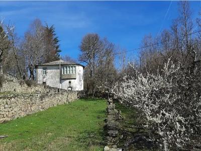 Annonce Vente Domaine agricole O-castro-de-caldelas