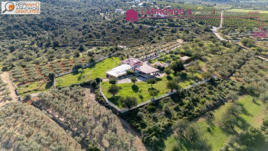 Acheter Maison 16737 m2 Cervera-del-maestre