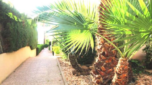 Annonce Vente Appartement Torrevieja