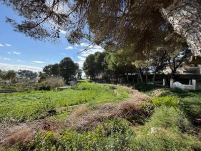 Acheter Terrain Moraira rgion ALICANTE