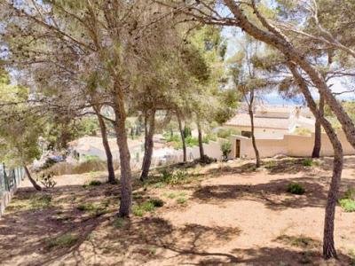 Acheter Terrain Alcasar rgion ALICANTE
