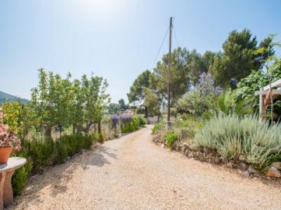 Acheter Maison Alcalali rgion ALICANTE