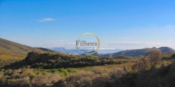 Annonce Vente Terrain Lorca